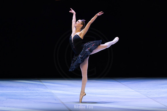 Swan Lake pas de deux