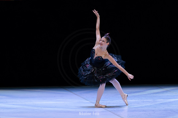 Swan Lake pas de deux