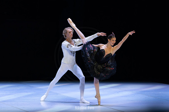Swan Lake pas de deux