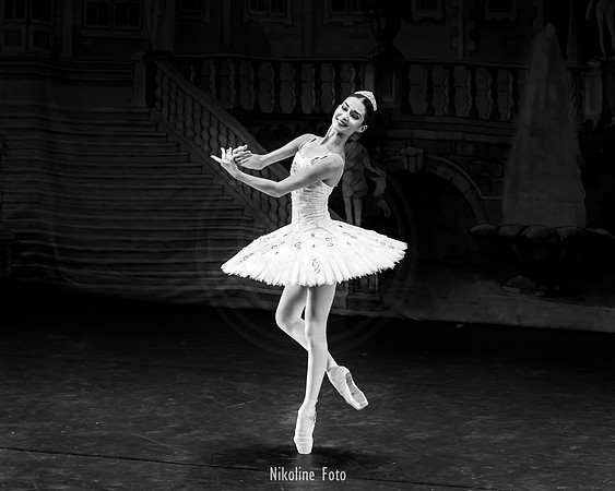 Sleeping_Beauty_BW_MABT_oct2019-4