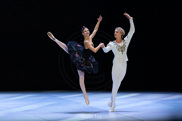 Swan Lake pas de deux
