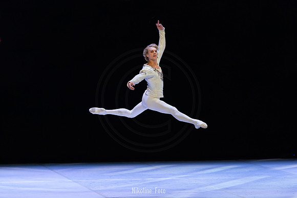Swan Lake pas de deux
