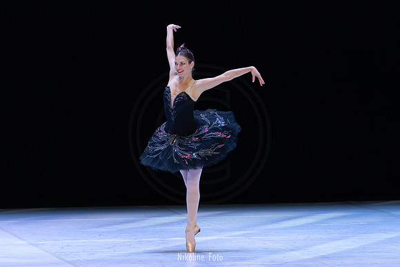 Swan Lake pas de deux