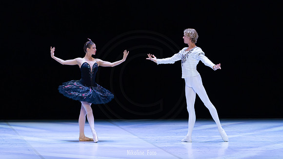 Swan Lake pas de deux