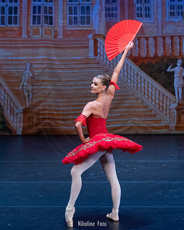 Don Quixote, Moscow Art Ballet Theatre