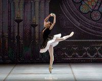 Esmeralda, pas de deux