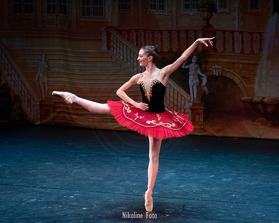 Don Quixote, Moscow Art Ballet Theatre