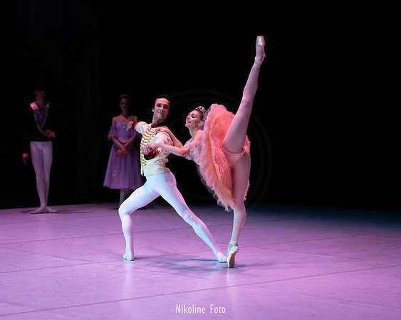 The Nutcracker pas de deux act 2