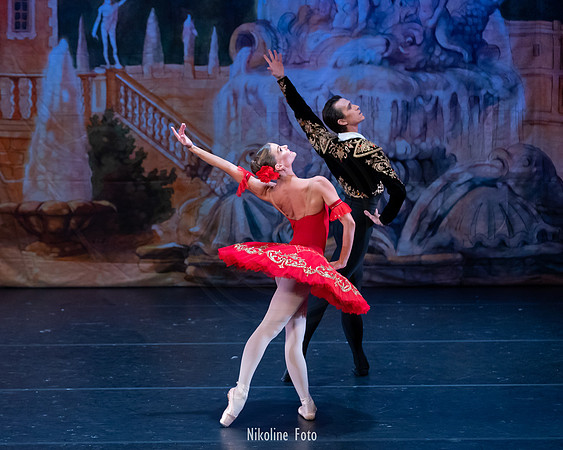 Don Quixote, Moscow Art Ballet Theatre