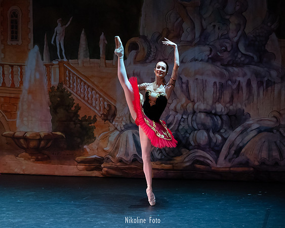 Don Quixote, Moscow Art Ballet Theatre
