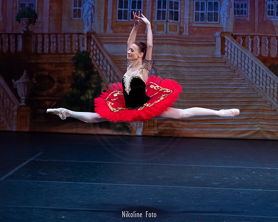 Don Quixote, Moscow Art Ballet Theatre