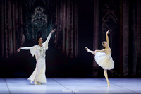 Raymonda, pas de deux