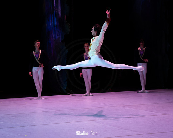 The Nutcracker pas de deux act 2