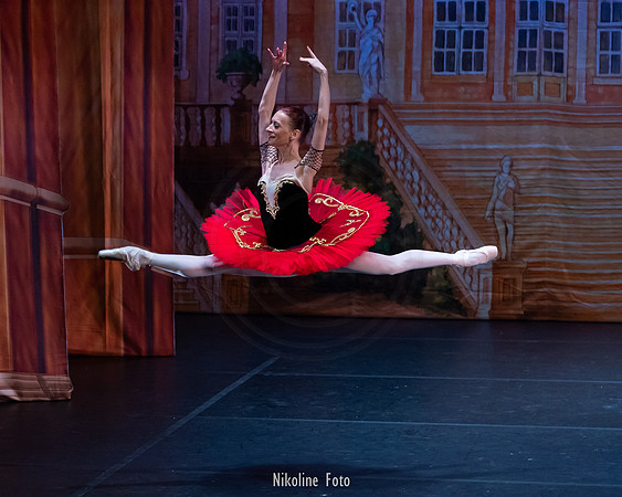 Don Quixote, Moscow Art Ballet Theatre