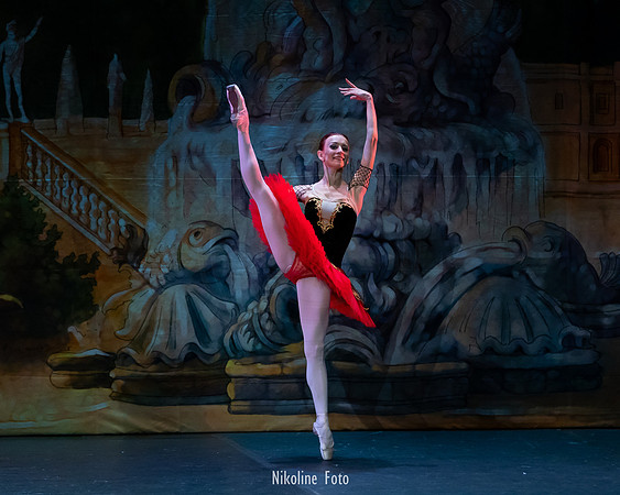 Don Quixote, Moscow Art Ballet Theatre