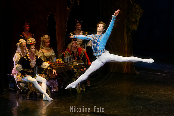 Swan Lake, the Saint-Petersburg ballet theatre