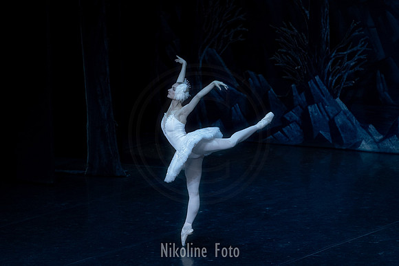Swan Lake, the Saint-Petersburg ballet theatre
