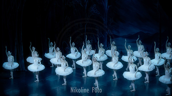 Swan Lake, the Saint-Petersburg ballet theatre