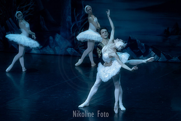 Swan Lake, the Saint-Petersburg ballet theatre