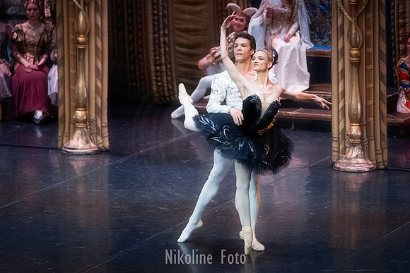 Swan Lake, the Saint-Petersburg ballet theatre