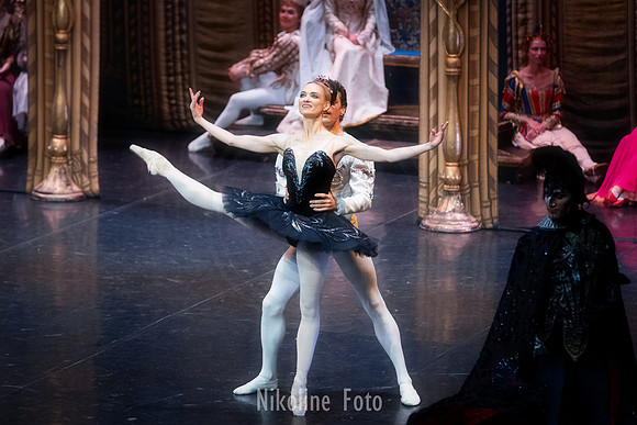 Swan Lake, the Saint-Petersburg ballet theatre