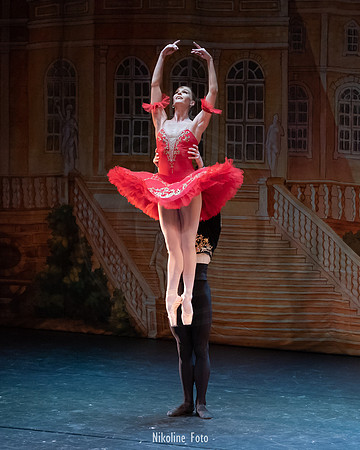 Don Quixote, Moscow Art Ballet Theatre