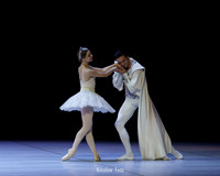 Raymonda, pas de deux