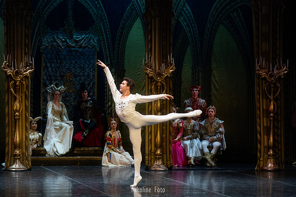 Swan Lake, act 2 with the Saint-Petersburg ballet theatre