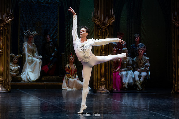 Swan Lake, act 2 with the Saint-Petersburg ballet theatre