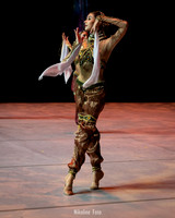 The Nutcracker - arabian dance