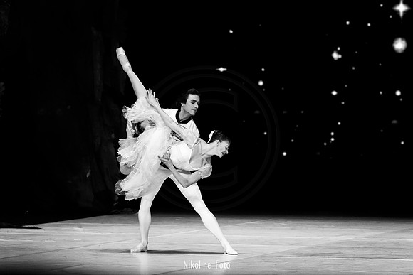 The Nutcracker