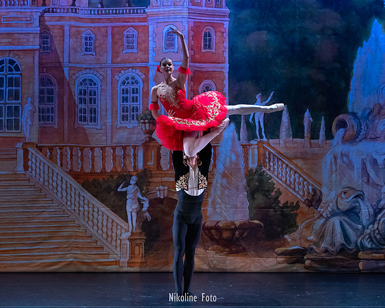 Don Quixote, Moscow Art Ballet Theatre