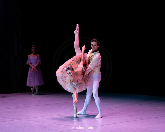 The Nutcracker pas de deux act 2