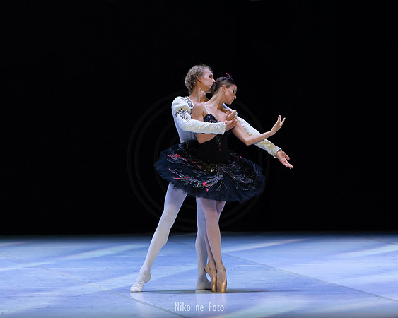 Swan Lake pas de deux