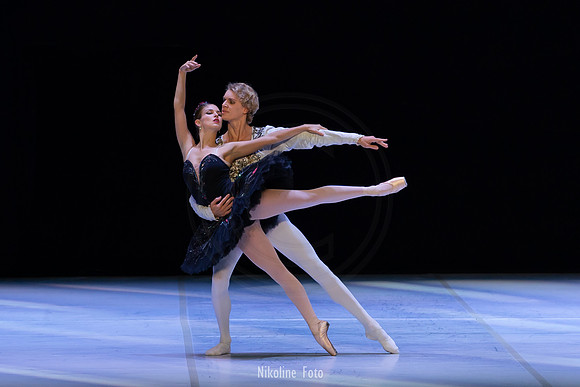 Swan Lake pas de deux