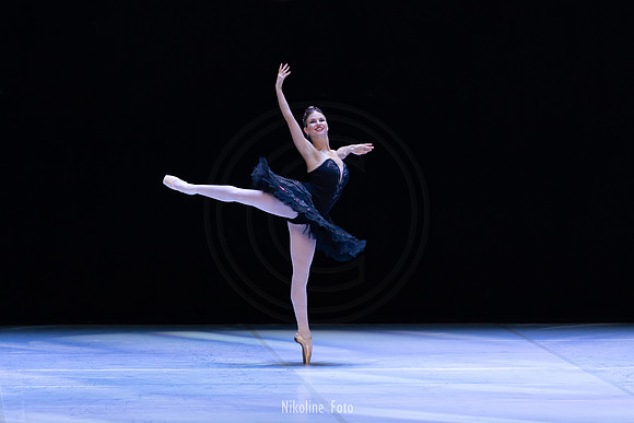 Swan Lake pas de deux