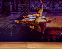 Sheherazade pas de deux