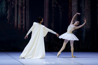Raymonda, pas de deux