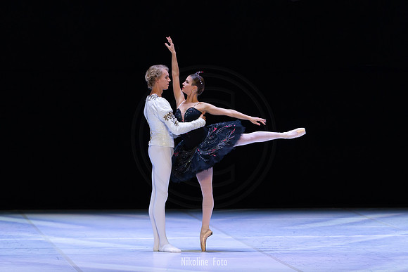 Swan Lake pas de deux