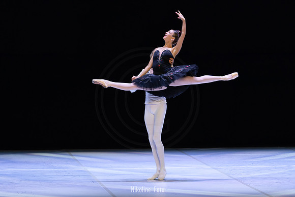 Swan Lake pas de deux