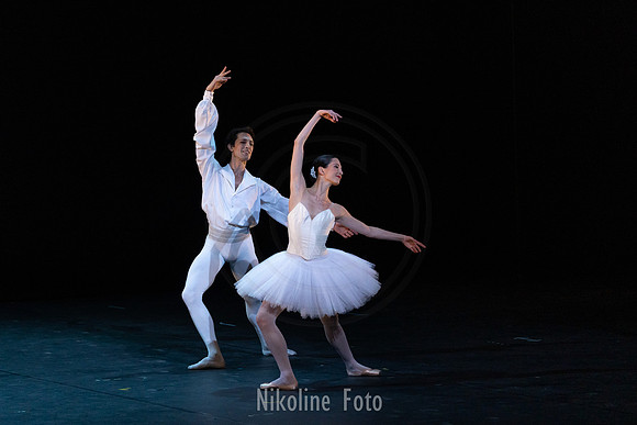 Suite en blanc, pas de deux