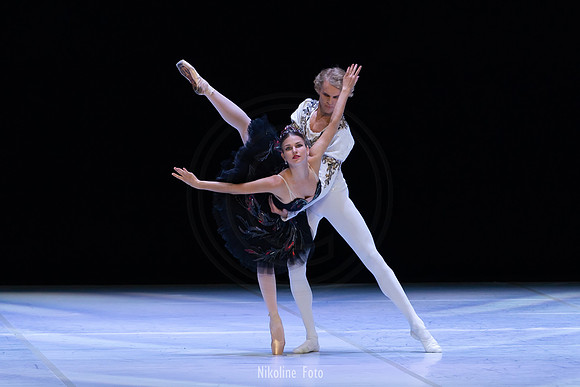Swan Lake pas de deux
