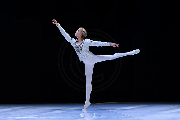 Swan Lake pas de deux