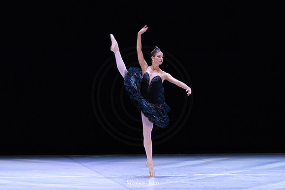 Swan Lake pas de deux