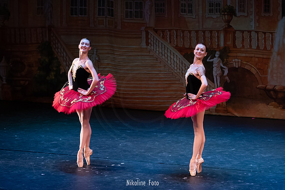 Don Quixote, Moscow Art Ballet Theatre