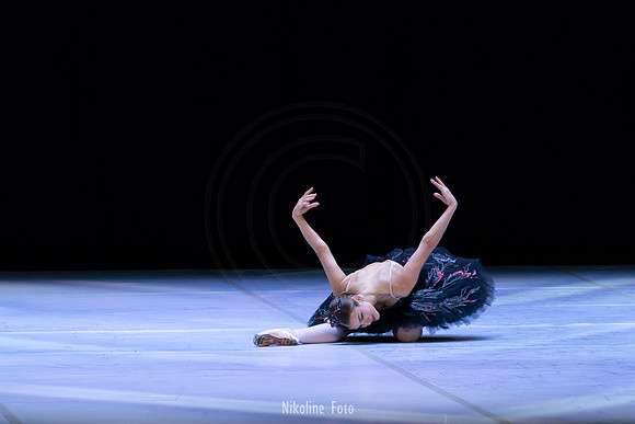Swan Lake pas de deux