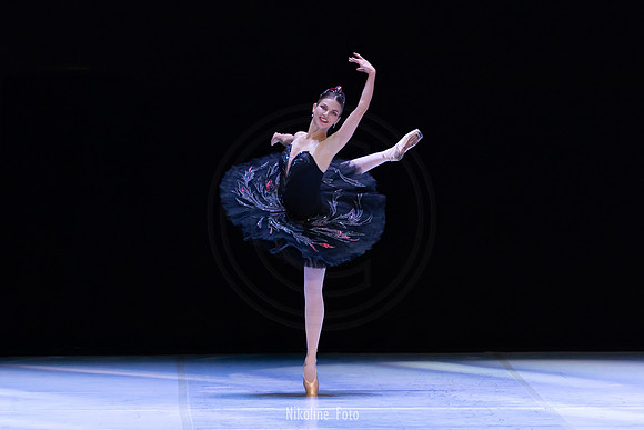 Swan Lake pas de deux