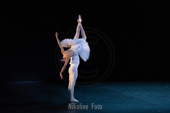 Suite en blanc, pas de deux