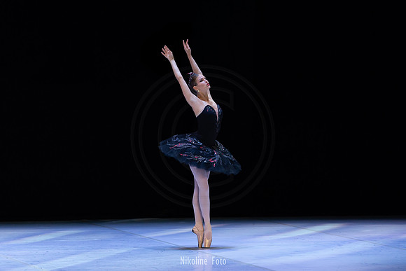 Swan Lake pas de deux