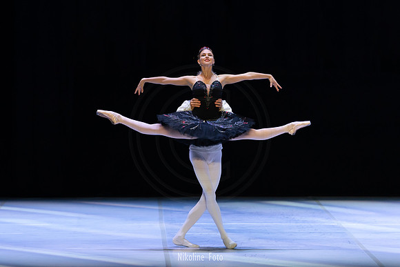 Swan Lake pas de deux
